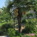 With A Parking Space Krbune, Istria - Sredisnja Istra - 7670 Daire